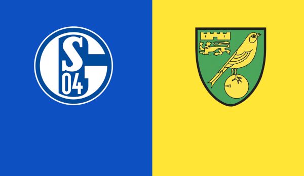 FC Schalke 04 - Norwich am 19.07.
