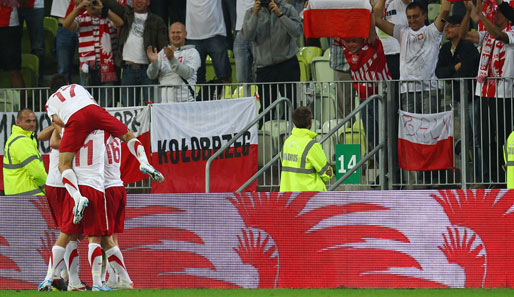 Die polnische Mannschaft ging in der 54. Minute durch Lewandowski mit 1:0 in Führung