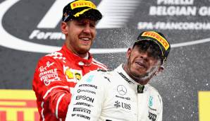 Lewis Hamilton darf sich dank seines neuen Mercedes-Vertrags über eine satte Gehaltserhöhung freuen. SPOX zeigt, wie viel die Formel-1-Piloten laut "Bild" pro Jahr verdienen.