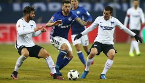 Von wegen Schalke hat keine Stürmer mehr! Guido Burgstaller traf nach einem phänomenalen Pass von Bentaleb - verdiente 1:0-Führung zur Halbzeit!