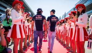 Die beiden Jung-Bullen Carlos Sainz und Daniil Kvyat genießen den Gang über den roten Teppich da schon mehr - zu Recht!