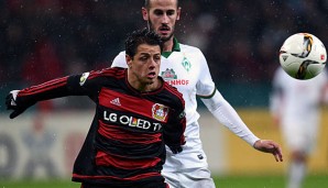 Javier Hernandez ist mit 13 Toren in der laufenden Saison Leverkusens bester Torjäger
