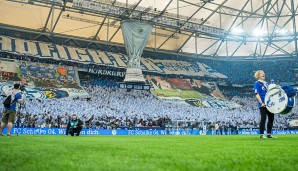 9. Platz: FC Schalke 04, 3,1 Prozent (- 2,5 Prozent im Vergleich zum Vorjahr)