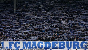 Die Mitglieder des 1. FC Magdeburg haben der Ausgliederung des Teams zugestimmt