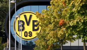 Platz 7: Borussia Dortmund - 140 Millionen Euro