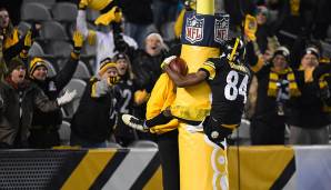 16.: Pittsburgh Steelers: 2,45 Milliarden Dollar (2016: 2,25 Milliarden Dollar)