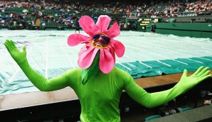 Nun steht Wimbledon 2017 an. Lassen wir uns überraschen, welche Geschichten das diesjährige Turnier liefert