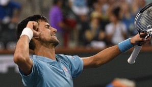 Novak Djokovic will 2017 das Career Golden Masters holen - ein Sieg in Cincinnati fehlt noch.