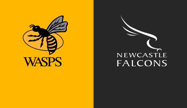 Wasps - Newcastle am 05.12.