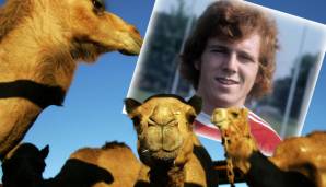 Franz Michelberger kickte einst beim FC Bayern. Bei einem Trainingslager 1975 in Israel geriet er mit einem Kamel aneinander. Das Tier schubste ihn gegen die Treppen des Mannschaftsbusses, was ihm eine derbe Knieprellung einbrachte.