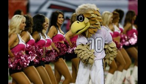 Die heißesten Cheerleader der NFL: Atlanta Falcons mit Maskottchen Freddie