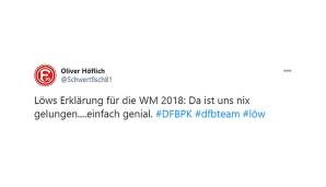 DFB-Team, Joachim Löw, Netzreaktionen