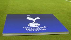 Platz 16: Terry Dixon (Tottenham Hotspur) | Potenzial: 88 | Alter: 16 | Stärke in FIFA 07: 67 | Position: ST