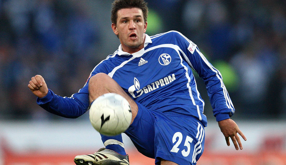 ZLATAN BAJRAMOVIC (2005 vom SC Freiburg): Spielte drei Jahre für Schalke, am Anfang häufiger, am Ende weniger. "Ich werde Schalke nicht nachlaufen", sagte er mal, als es um einen neuen Vertrag ging. Wechselte dann nach Frankfurt. Note: 3,5.